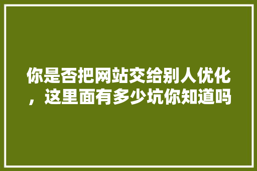 你是否把网站交给别人优化，这里面有多少坑你知道吗「百度移动端整站seo关键词优化外包」