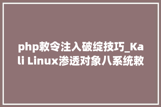 php敕令注入破绽技巧_Kali Linux渗透对象八系统敕令注入马脚对象 – Commix运用