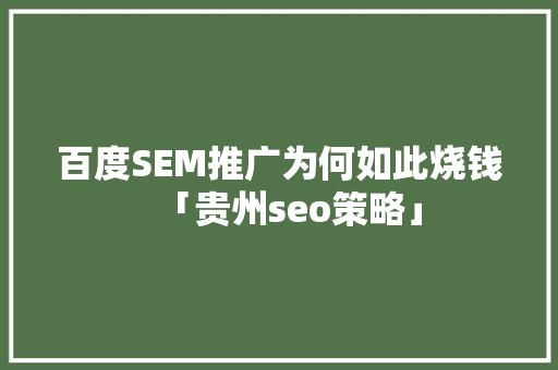百度SEM推广为何如此烧钱「贵州seo策略」