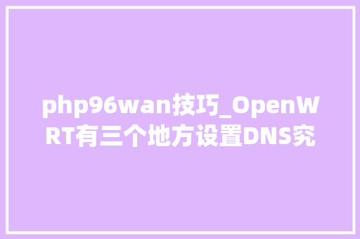 php96wan技巧_OpenWRT有三个地方设置DNS究竟设置哪个地方会更好