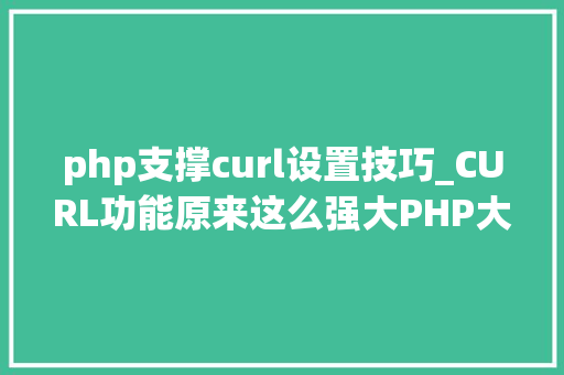 php支撑curl设置技巧_CURL功能原来这么强大PHP大年夜神都在用