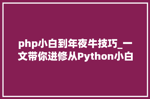 php小白到年夜牛技巧_一文带你进修从Python小白到大年夜牛的代码成长之路初级