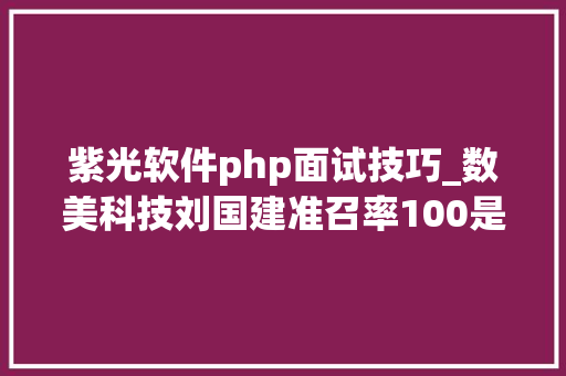 紫光软件php面试技巧_数美科技刘国建准召率100是我想追求的完美