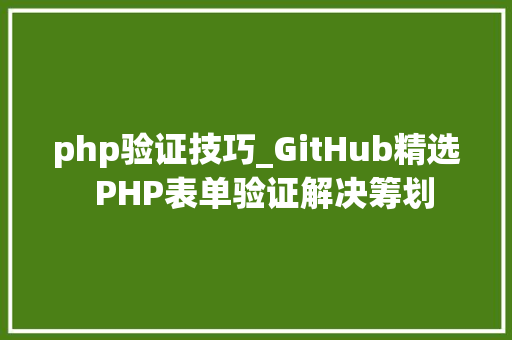 php验证技巧_GitHub精选  PHP表单验证解决筹划