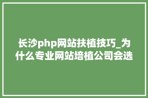 长沙php网站扶植技巧_为什么专业网站培植公司会选择运用PHP来打造网站