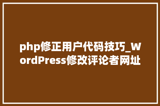 php修正用户代码技巧_WordPress修改评论者网址邮箱等小我信息的教程