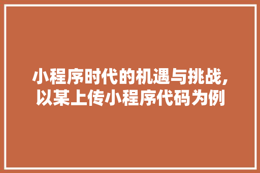 小程序时代的机遇与挑战,以某上传小程序代码为例