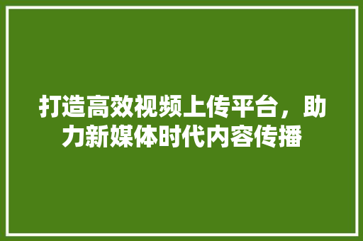 打造高效视频上传平台，助力新媒体时代内容传播