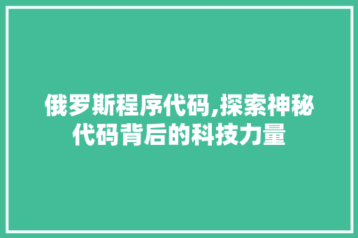 俄罗斯程序代码,探索神秘代码背后的科技力量