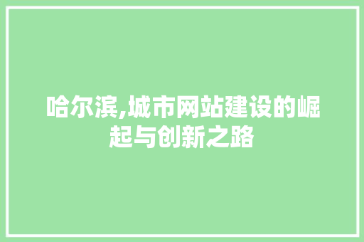 哈尔滨,城市网站建设的崛起与创新之路