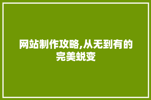 网站制作攻略,从无到有的完美蜕变