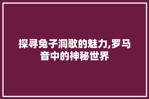 探寻兔子洞歌的魅力,罗马音中的神秘世界