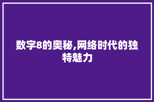 数字8的奥秘,网络时代的独特魅力