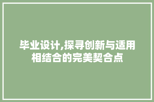 毕业设计,探寻创新与适用相结合的完美契合点
