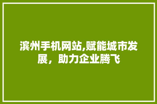 滨州手机网站,赋能城市发展，助力企业腾飞