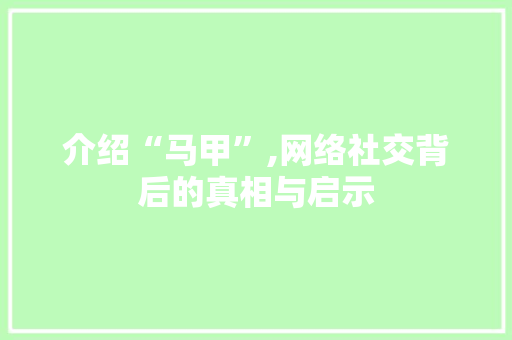 介绍“马甲”,网络社交背后的真相与启示