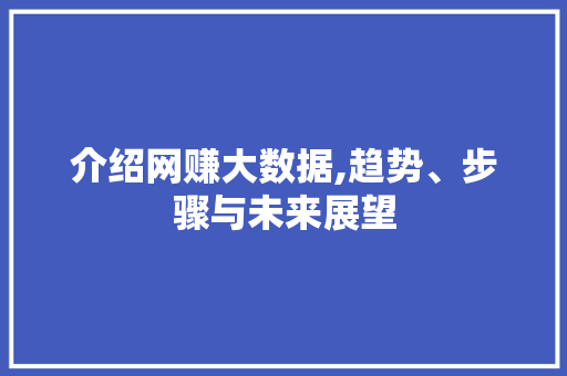 介绍网赚大数据,趋势、步骤与未来展望
