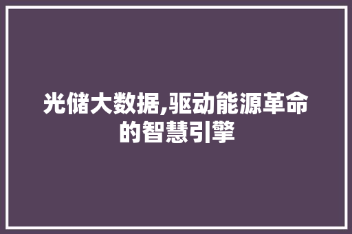 光储大数据,驱动能源革命的智慧引擎