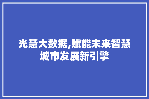 光慧大数据,赋能未来智慧城市发展新引擎