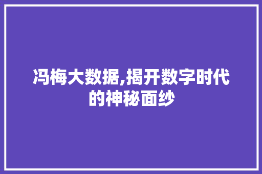 冯梅大数据,揭开数字时代的神秘面纱