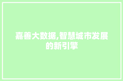 嘉善大数据,智慧城市发展的新引擎
