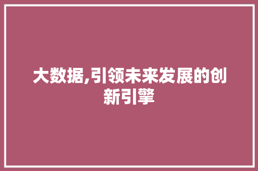 大数据,引领未来发展的创新引擎