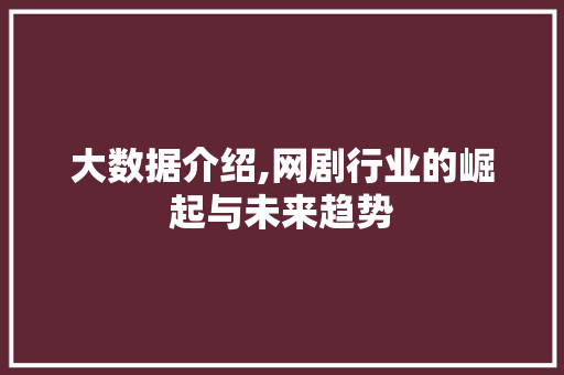 大数据介绍,网剧行业的崛起与未来趋势