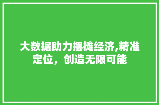 大数据助力摆摊经济,精准定位，创造无限可能
