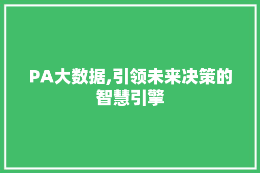 PA大数据,引领未来决策的智慧引擎