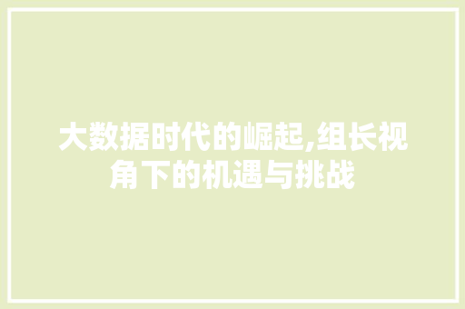 大数据时代的崛起,组长视角下的机遇与挑战