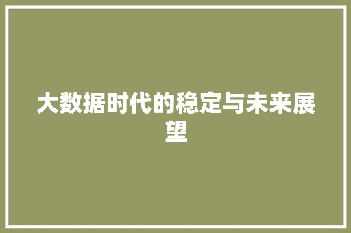 大数据时代的稳定与未来展望