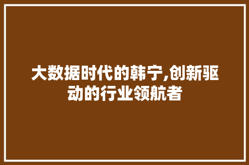 大数据时代的韩宁,创新驱动的行业领航者