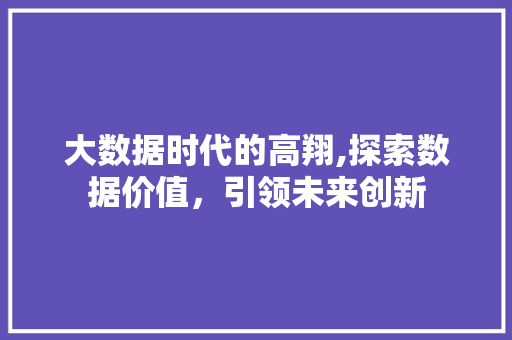 大数据时代的高翔,探索数据价值，引领未来创新