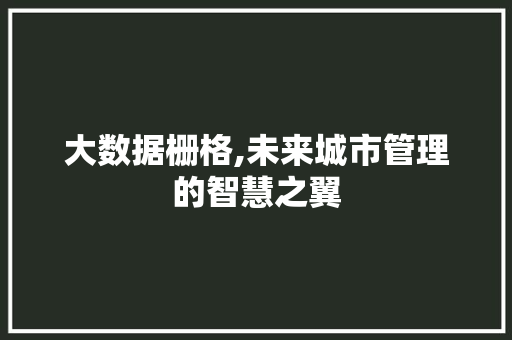 大数据栅格,未来城市管理的智慧之翼