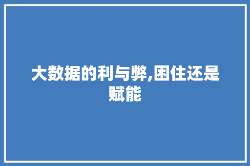 大数据的利与弊,困住还是赋能