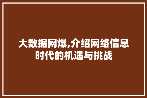 大数据网爆,介绍网络信息时代的机遇与挑战