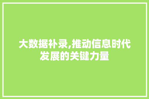 大数据补录,推动信息时代发展的关键力量