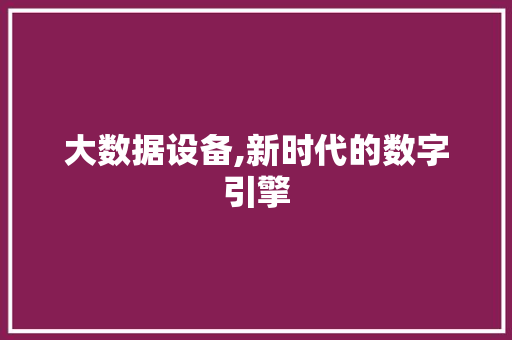 大数据设备,新时代的数字引擎
