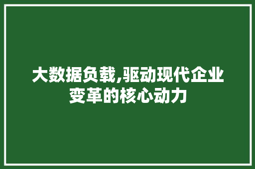 大数据负载,驱动现代企业变革的核心动力