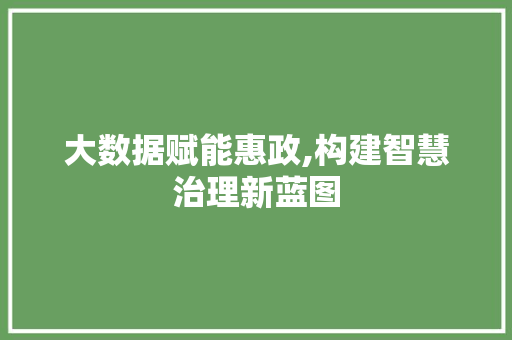 大数据赋能惠政,构建智慧治理新蓝图