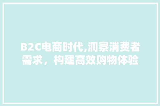 B2C电商时代,洞察消费者需求，构建高效购物体验