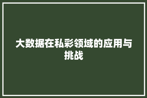 大数据在私彩领域的应用与挑战