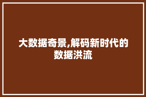 大数据奇景,解码新时代的数据洪流