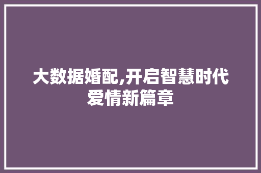大数据婚配,开启智慧时代爱情新篇章