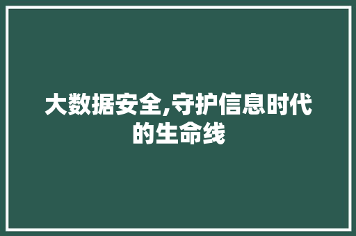 大数据安全,守护信息时代的生命线