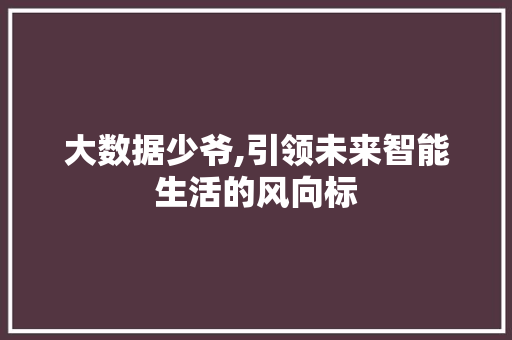 大数据少爷,引领未来智能生活的风向标