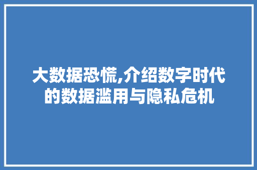 大数据恐慌,介绍数字时代的数据滥用与隐私危机