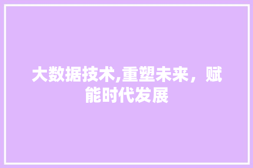 大数据技术,重塑未来，赋能时代发展
