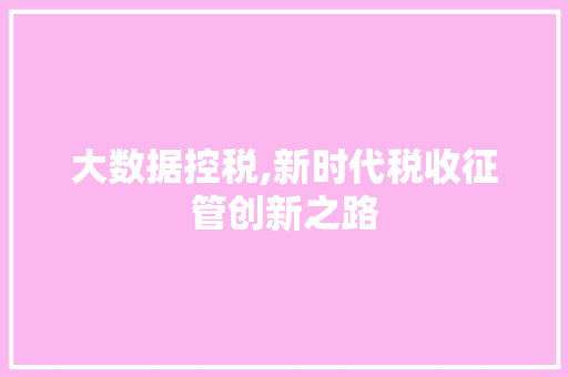 大数据控税,新时代税收征管创新之路