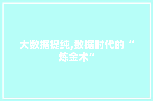 大数据提纯,数据时代的“炼金术”